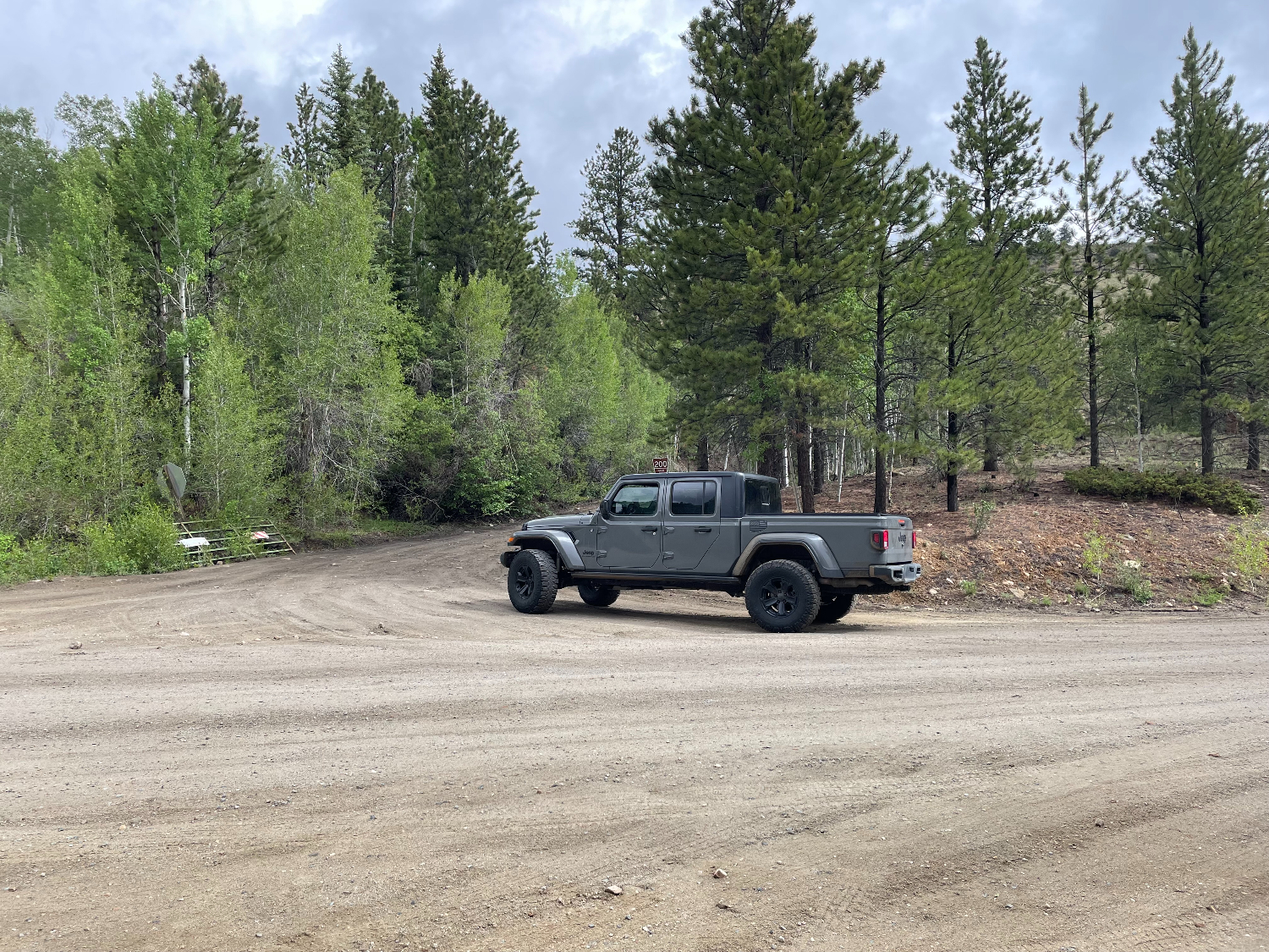 Jeep in Forest