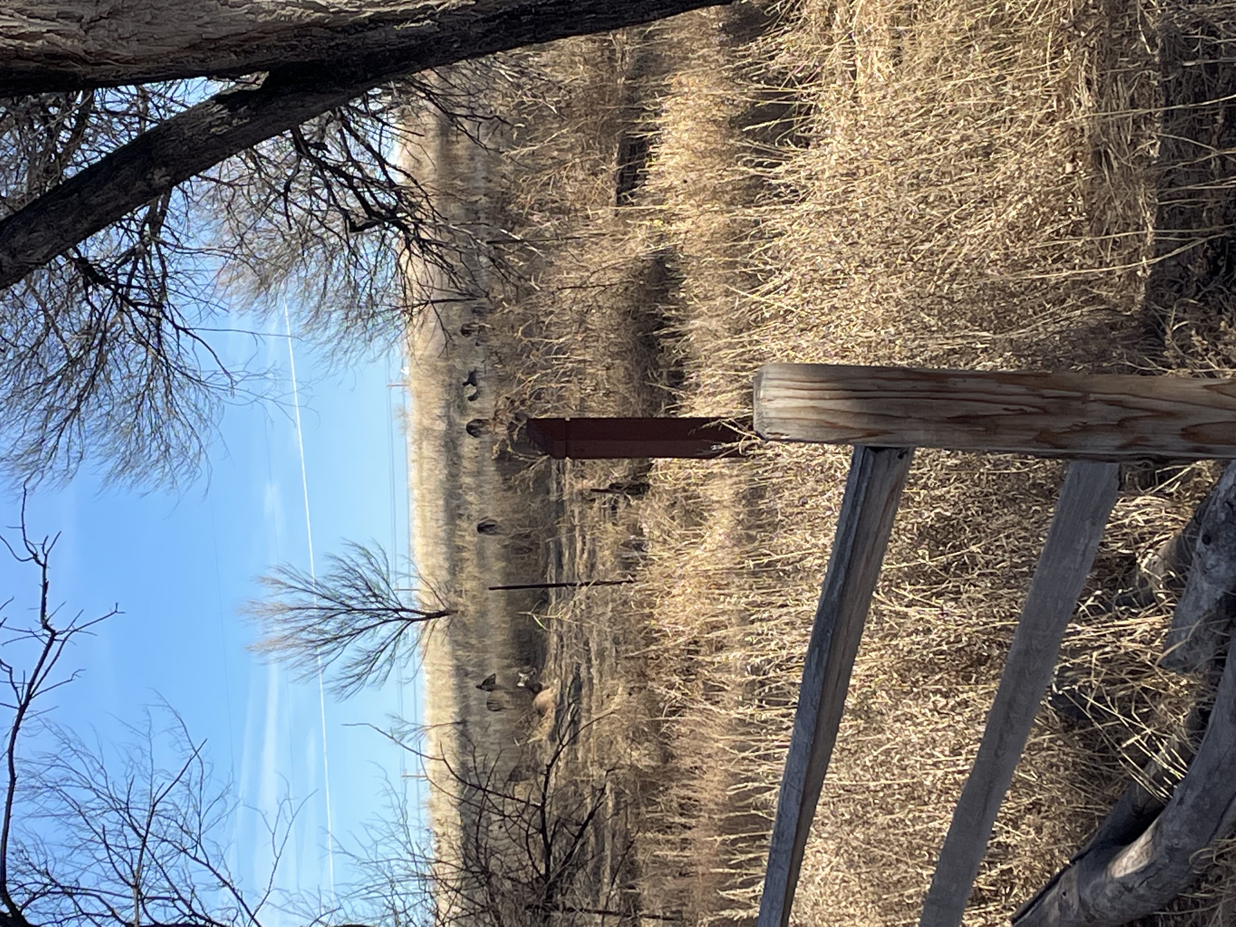 Fountain Creek Nature Trail