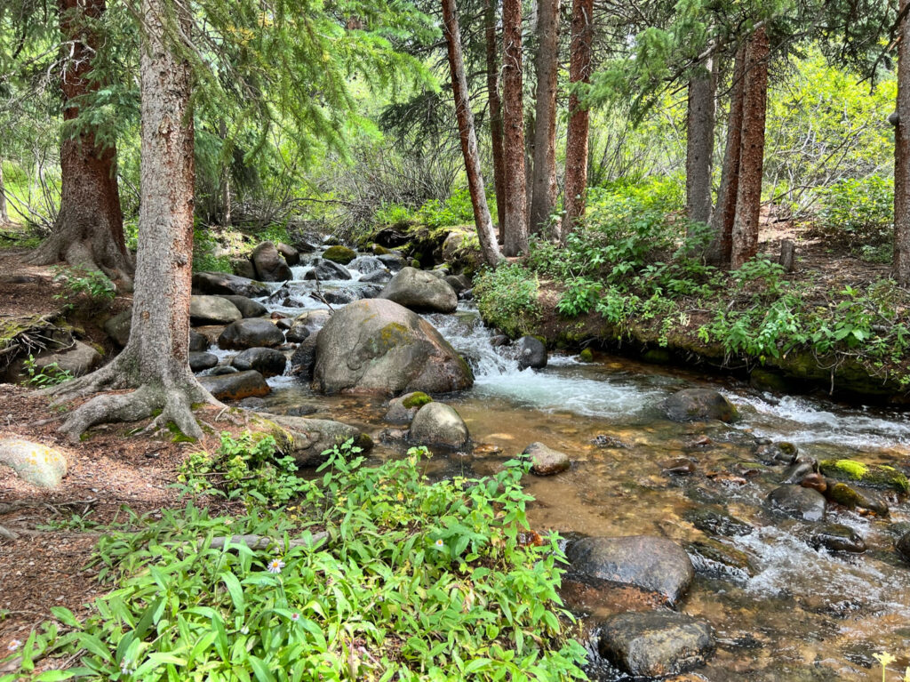 Creek along Weston Pass