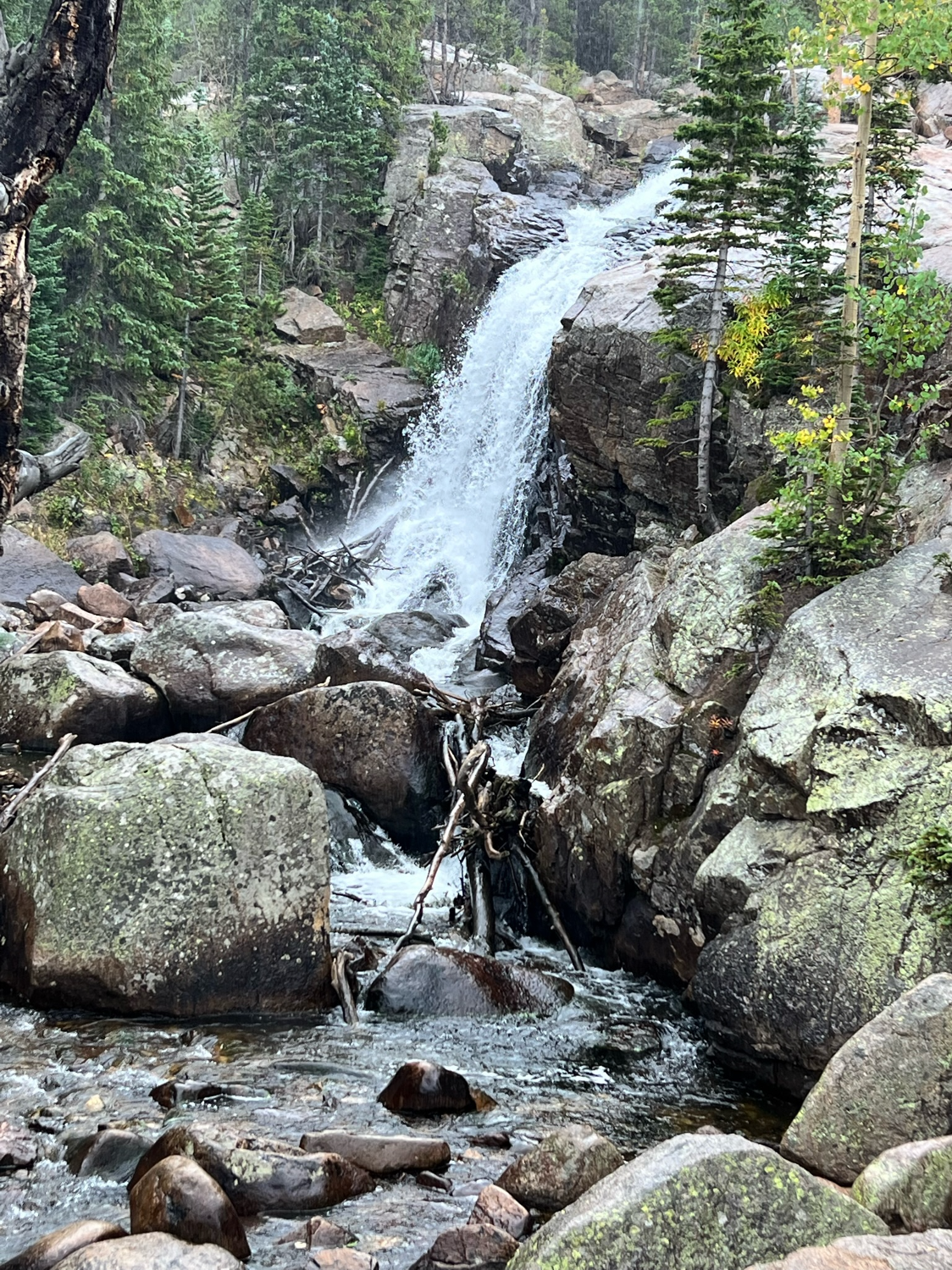 Family Friendly Hikes At Rocky Mountain National Park