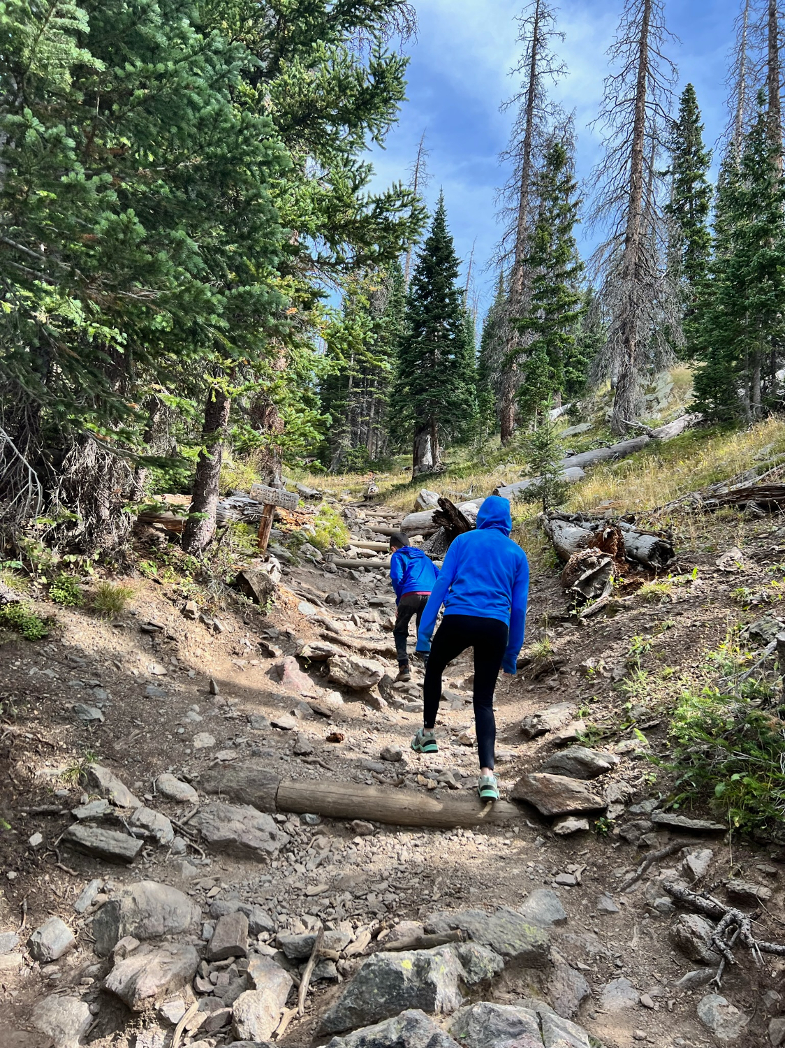 Family Friendly Hikes At Rocky Mountain National Park